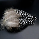 100PCS High Quality Guinea Fowl Feather Christmas Wedding Home Decoration fd