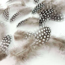 100PCS High Quality Guinea Fowl Feather Christmas Wedding Home Decoration fd