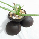 Eco Friendly Organic Coconut Bowl Handmade Coconut Bowl Natural Coconut DFS JYT