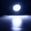 3 Sets/42pcs White LED 1157 T10 31mm T10 Width Light Double Point Readi IAP