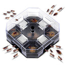 Insect Bug Trap Catcher Cockroach Ant Bed Bug Flea Pest Control Tool Ki BDH