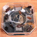 Insect Bug Trap Catcher Cockroach Ant Bed Bug Flea Pest Control Tool Ki BDH