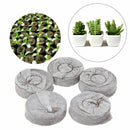 50X 30mm Jiffy Peat Pellets Seed Starting Plug Seed Starter Pallet Seedl WIW