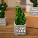Cute Cactus Potted Plant Photo Card Memo Note Holder Clip Desktop Decors R YCD