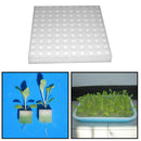 Sponge Cubes Hydroponic Grow Media Soilless Cultivation System Garden Plan EBQ
