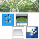 Sponge Cubes Hydroponic Grow Media Soilless Cultivation System Garden Plan EBQ