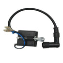 Ignition Coil CDI Box For 50cc to 80cc 2- STroke Engine Motorized Bicy FAY