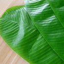 4PCS Heat-Resistant Placemat Banana Leaf Waterproof Dining Table Mat fo CTS