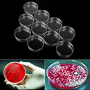 5x Clear Plastic Petri Dish Disposable Bacterial Culture Dish Plate 60X15mm JXN