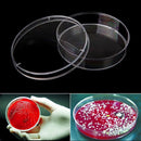 5x Clear Plastic Petri Dish Disposable Bacterial Culture Dish Plate 60X15mm JXN