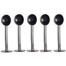 5PC Fruit Powder/Coffee Espresso Scoop 10-Gram Plastic Measuring Spoon Gif FOR