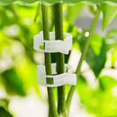 100pcs Veggie Garden Plant Support Clips for Trellis Twine Tomato Greenhouse dfs