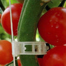 100pcs Veggie Garden Plant Support Clips for Trellis Twine Tomato Greenhouse dfs