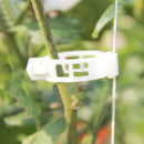 400Pcs Plant Support Garden Clips For Vine Upright Vegetable Tomato FGD SJJ