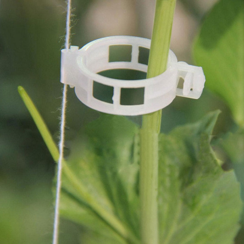 400Pcs Plant Support Garden Clips For Vine Upright Vegetable Tomato PVK