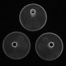 3pcs Transparent Plastic Mini 50mm Funnel Perfume Oil Liquid Filling Tool BLE