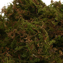 100g Dried Artificial Reindeer Moss Nature Moss Micro Landscape Ornamen CAY