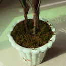 100g Dried Artificial Reindeer Moss Nature Moss Micro Landscape Ornamen CAY