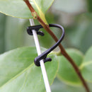 200 Garden Plants Rattan Buckle Fixed Strap Hook Greenhouse Vegetable Clip