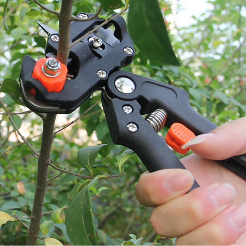Garden Nursery Fruit Tree Pro Pruning Shears Scissor Grafting Cutting To SYT