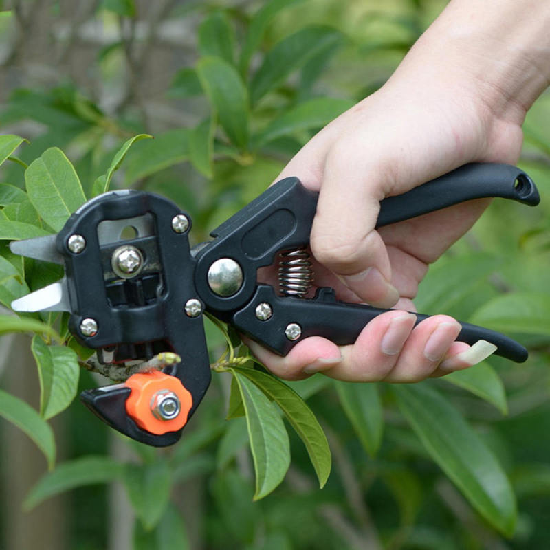 Garden Nursery Fruit Tree Pro Pruning Shears Scissor Grafting Cutting To SYT