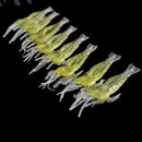 20Pcs 5cm Silicone Shrimp Fishing Simulation Soft Prawn Fish Lure Bait New HXX