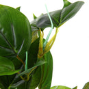 Big Leaf Artificial Simulation Water Plants Grass For Fish Tank Decor Green New