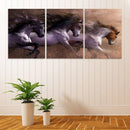 3pcs Running Horse Wall Painting Canvas Picture Art Print Unframed Mur WZR