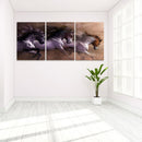 3pcs Running Horse Wall Painting Canvas Picture Art Print Unframed Mur WZR