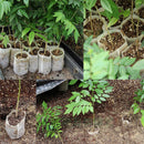 500 Pcs Assorted Sizes Seedling Plant Grow Bags, Biodegradable Non-Woven Nursery