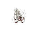 200x 1N4728~1N4737 Glass Zener Regulator Diode Kit 5V 5W 1A 13cm*6.4cm CXA