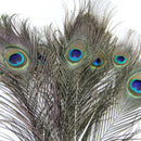 20x Beautiful Natural Peacock Feathers for Birthday Party Gift Festive  VPN WUX