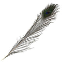 20x Beautiful Natural Peacock Feathers for Birthday Party Gift Festive  VPN