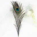 20x Beautiful Natural Peacock Feathers for Birthday Party Gift Festive  VPN WUX