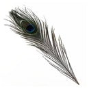 20x Beautiful Natural Peacock Feathers for Birthday Party Gift Festive  VPN