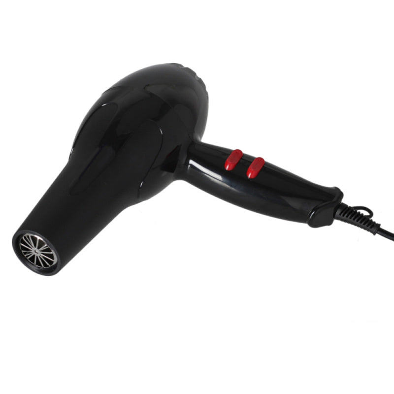 Professional Style Hair Dryer 1600W Hair Blow Dryer Blower Black Hot Cold Wind M