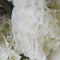 2 Pairs Short Wedding Gloves Bride Beaded Lace Formal Evening Party Prom  ZEF