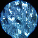 60X-100X LED Microscope Magnifier Glass Magnifying Lens Jewelers Loupe  New