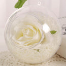 5 PCS Clear Plastic Craft Ball Acrylic Transparent Sphere Bauble 8CM SLO