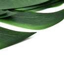 24PCS Bulk Tropical Hawaiian Green Leaves Luau Moana Home Party Table Dec LAW