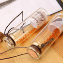 12x Mini Transparent Glass Wish Bottle Vial with Cork Stopper Storage Pend CES