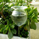 Glass Plant Flowers Water Feeder Self Watering Rose Waterer Device Machine NEW