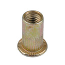 100 Pcs Flat Rivet Nut Set M3/M4/M5/M6/M8 Carbon Steel Galvanized Head  OLM