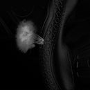 Steering Wheel Cover Embossing Universal Black 38cm DIY Car Auto hot GBN