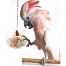 Hanging Cage Bell Foraging Chain Birds Parrots Ball Toys Food Feeder For Treats