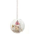 Hanging Cage Bell Foraging Chain Birds Parrots Ball Toys Food Feeder For Treats
