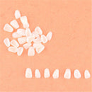 Dental Anterior Film Molar Teeth Temporary Crown Patch Porcelain Material  Lsf