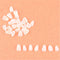 Dental Anterior Film Molar Teeth Temporary Crown Patch Porcelain Material  Lsf