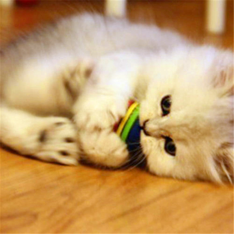 New 2Pcs Funny Alive Dog Cat Kitten Weasel Jumping Moving Rolling Pet Balls Toys