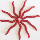 50 Pcs Soft Red Earthworm Fishing Bait Worm Lures Crankbaits Hooks Baits Tackle